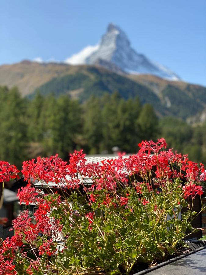 Chalet Bull Zermatt Extérieur photo